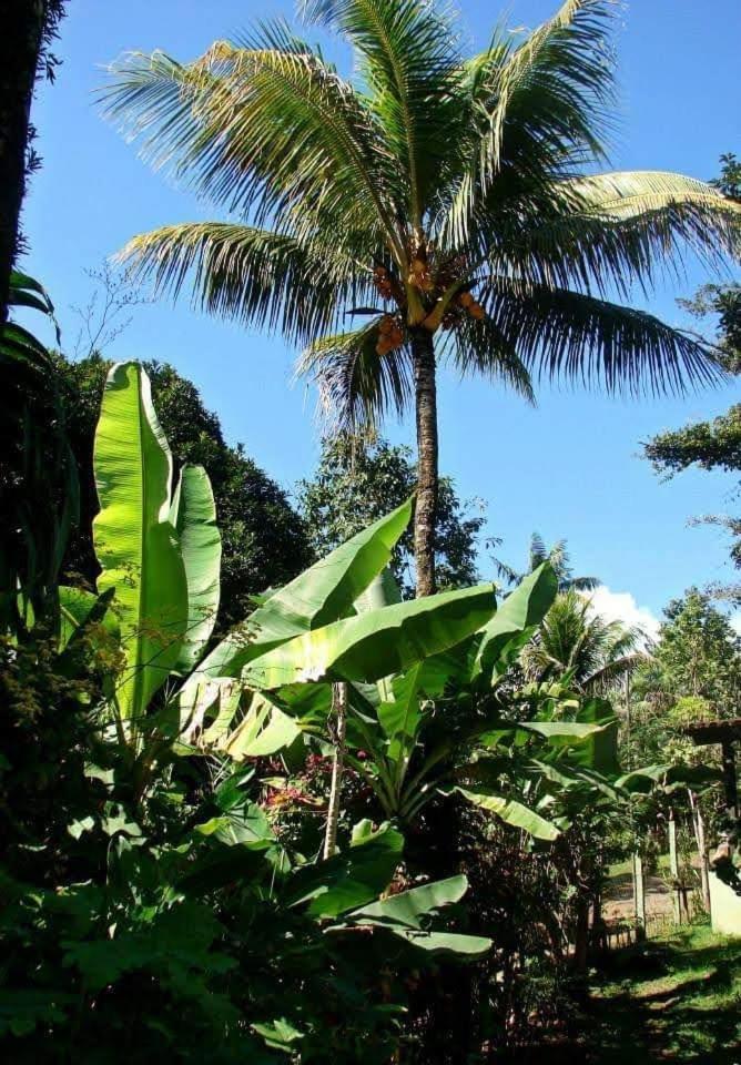 Pousada Villa Da Gama Parati Chambre photo