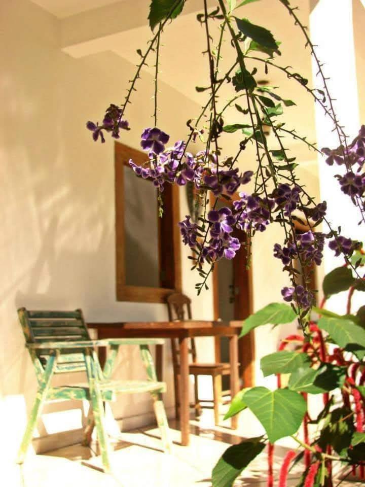 Pousada Villa Da Gama Parati Chambre photo