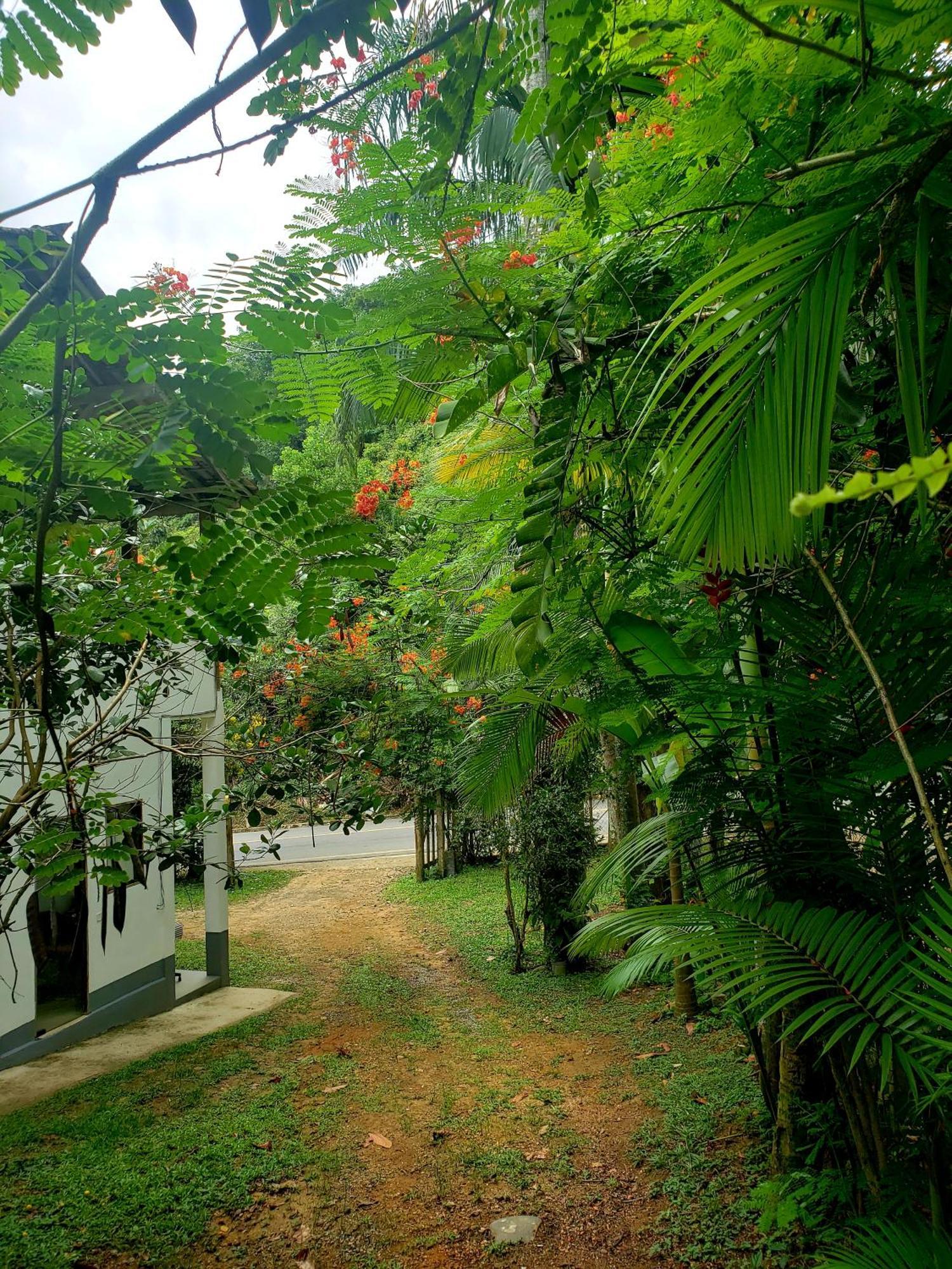 Pousada Villa Da Gama Parati Chambre photo